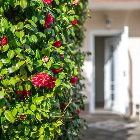 Sofia Casa Con Giardino E Condivisa *